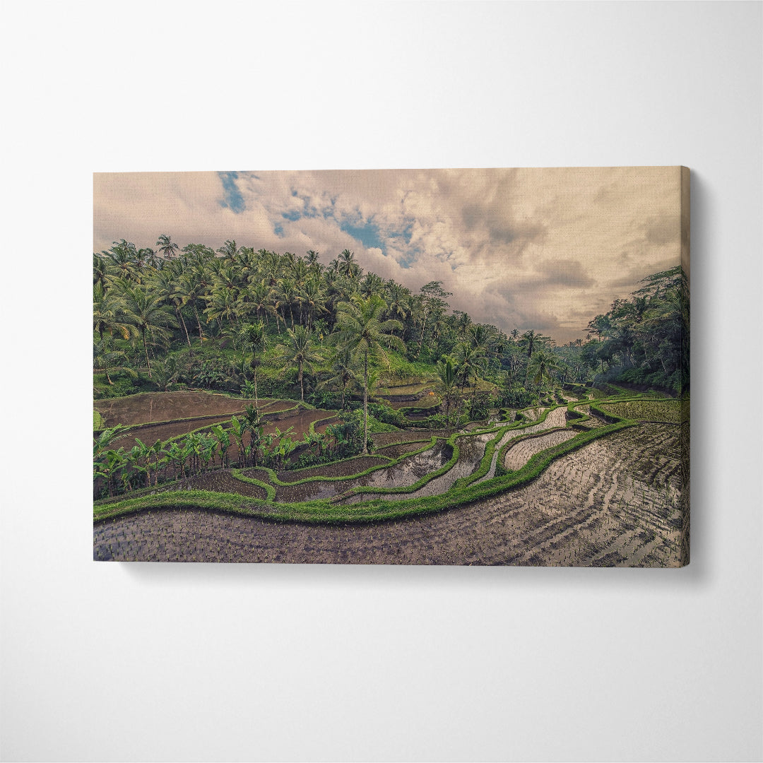 Tegallalang Rice Terrace Bali Indonesia Canvas Print ArtLexy 1 Panel 24"x16" inches 