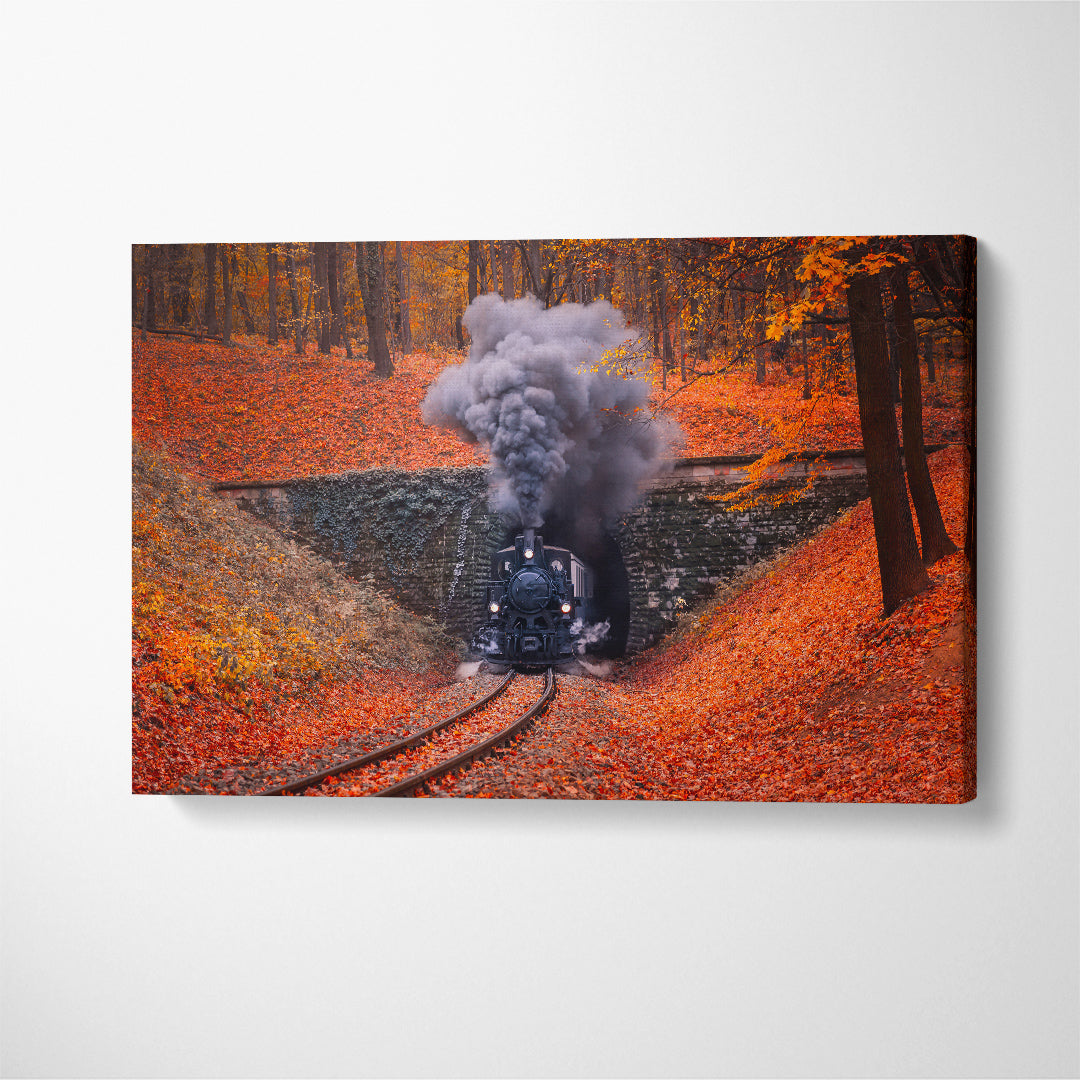 Steam Engine Locomotive Train Coming Through Tunnel in Autumn Forest Budapest Canvas Print ArtLexy 1 Panel 24"x16" inches 
