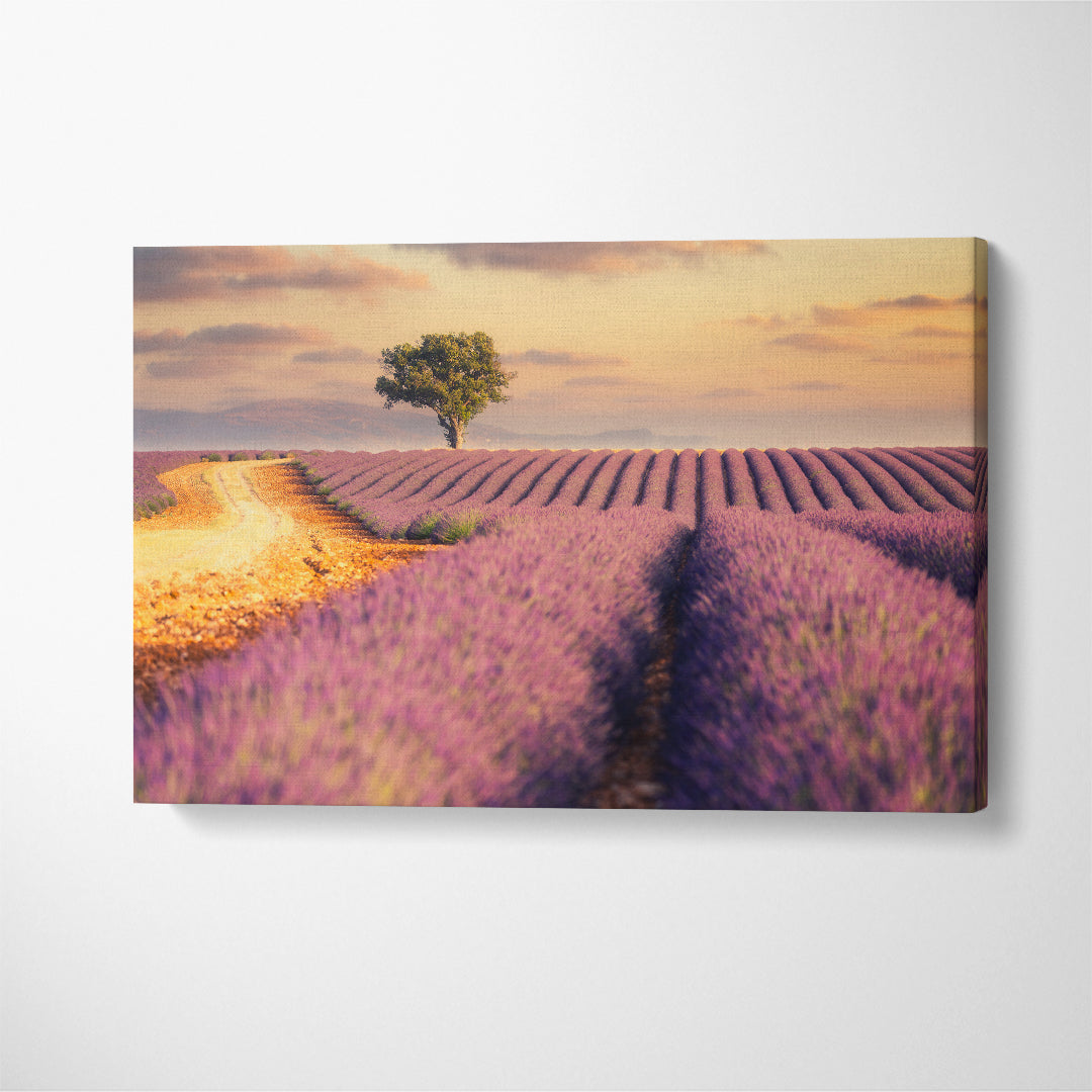 Provence Lavender Fields France Canvas Print ArtLexy 1 Panel 24"x16" inches 