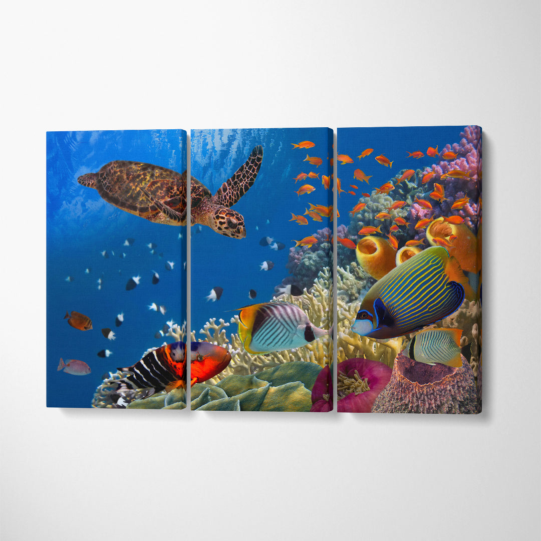 Red Sea Colorful Coral Reef with Fishes and Turtle Egypt Canvas Print ArtLexy   