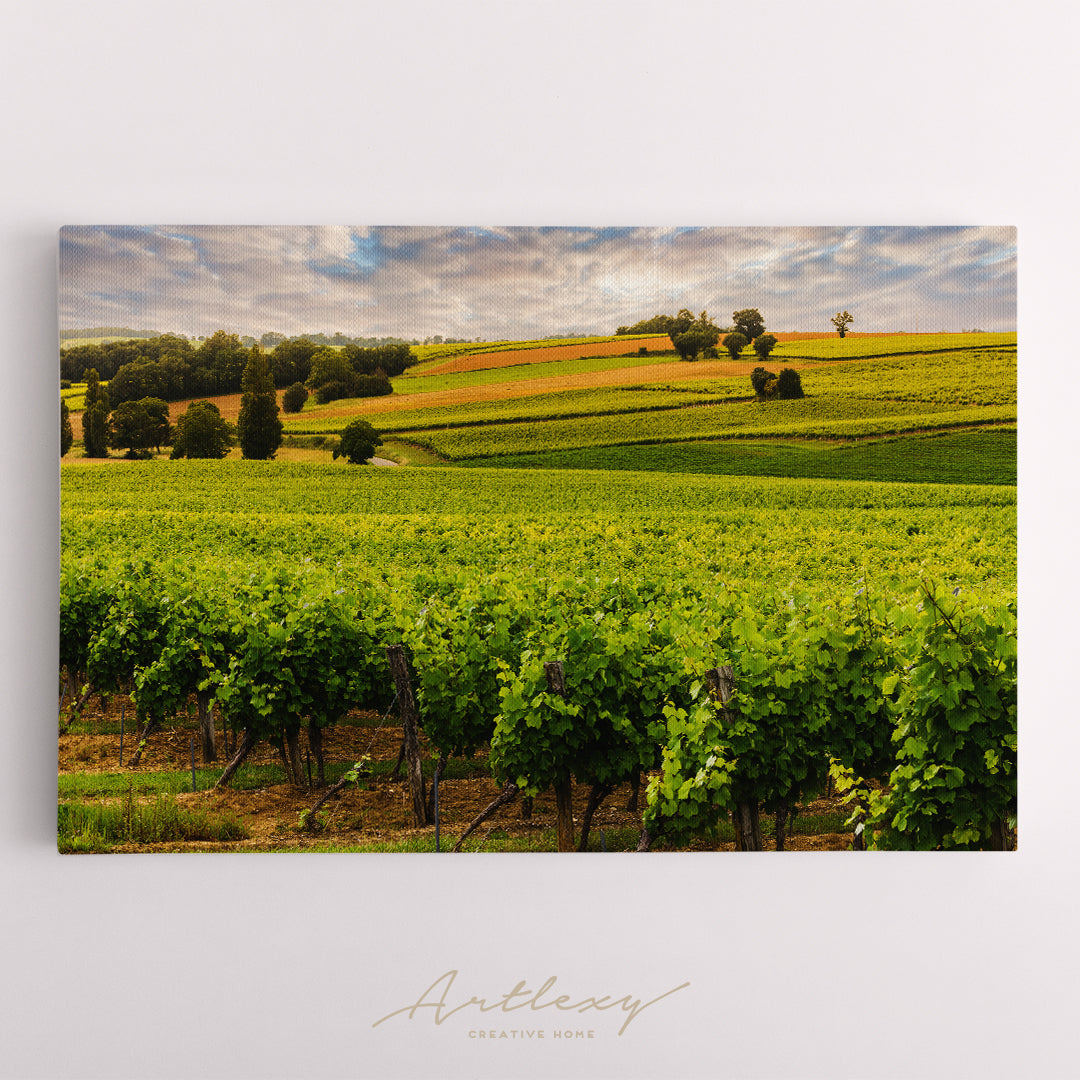 Burgundy Vineyard France Canvas Print ArtLexy   