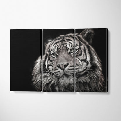 Black and White Tiger Portrait Canvas Print ArtLexy 3 Panels 36"x24" inches 