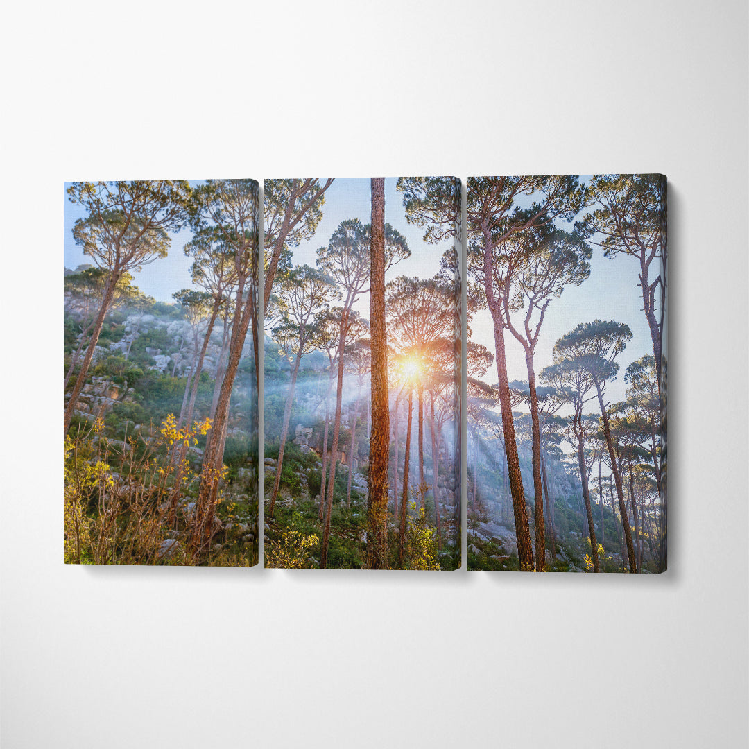 Beautiful Pine Trees Forest Landscape Canvas Print ArtLexy 3 Panels 36"x24" inches 