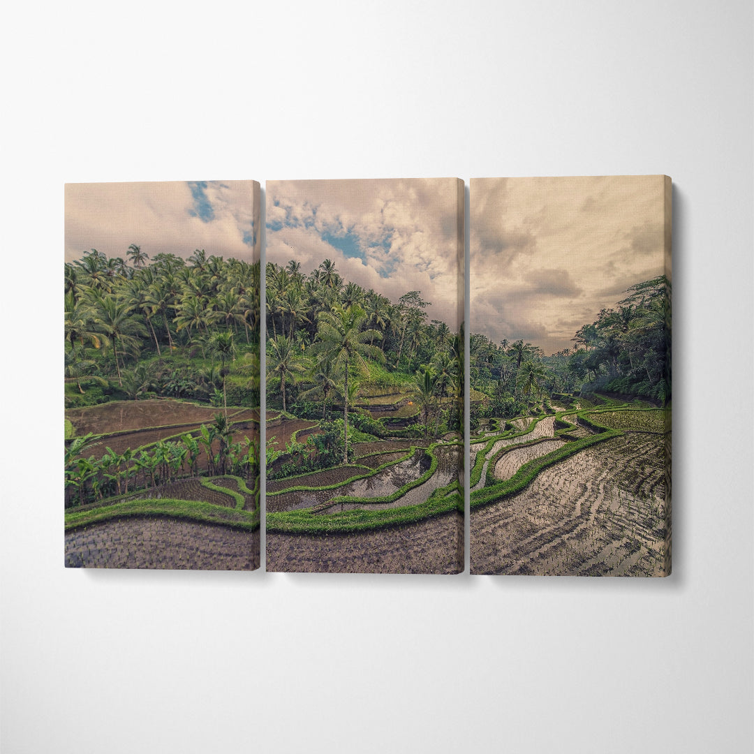 Tegallalang Rice Terrace Bali Indonesia Canvas Print ArtLexy 3 Panels 36"x24" inches 