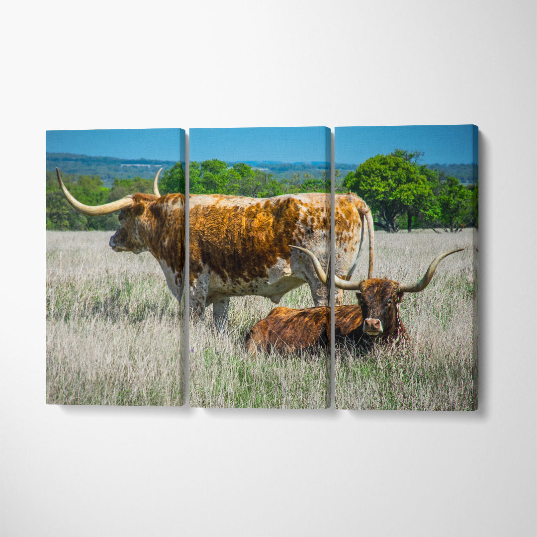 Texas Longhorn Canvas Print ArtLexy   