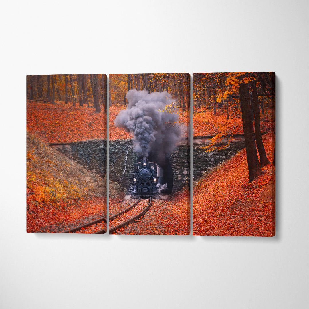 Steam Engine Locomotive Train Coming Through Tunnel in Autumn Forest Budapest Canvas Print ArtLexy 3 Panels 36"x24" inches 