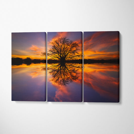 Beautiful Tree Reflected in Water at Sunset Canvas Print ArtLexy 3 Panels 36"x24" inches 