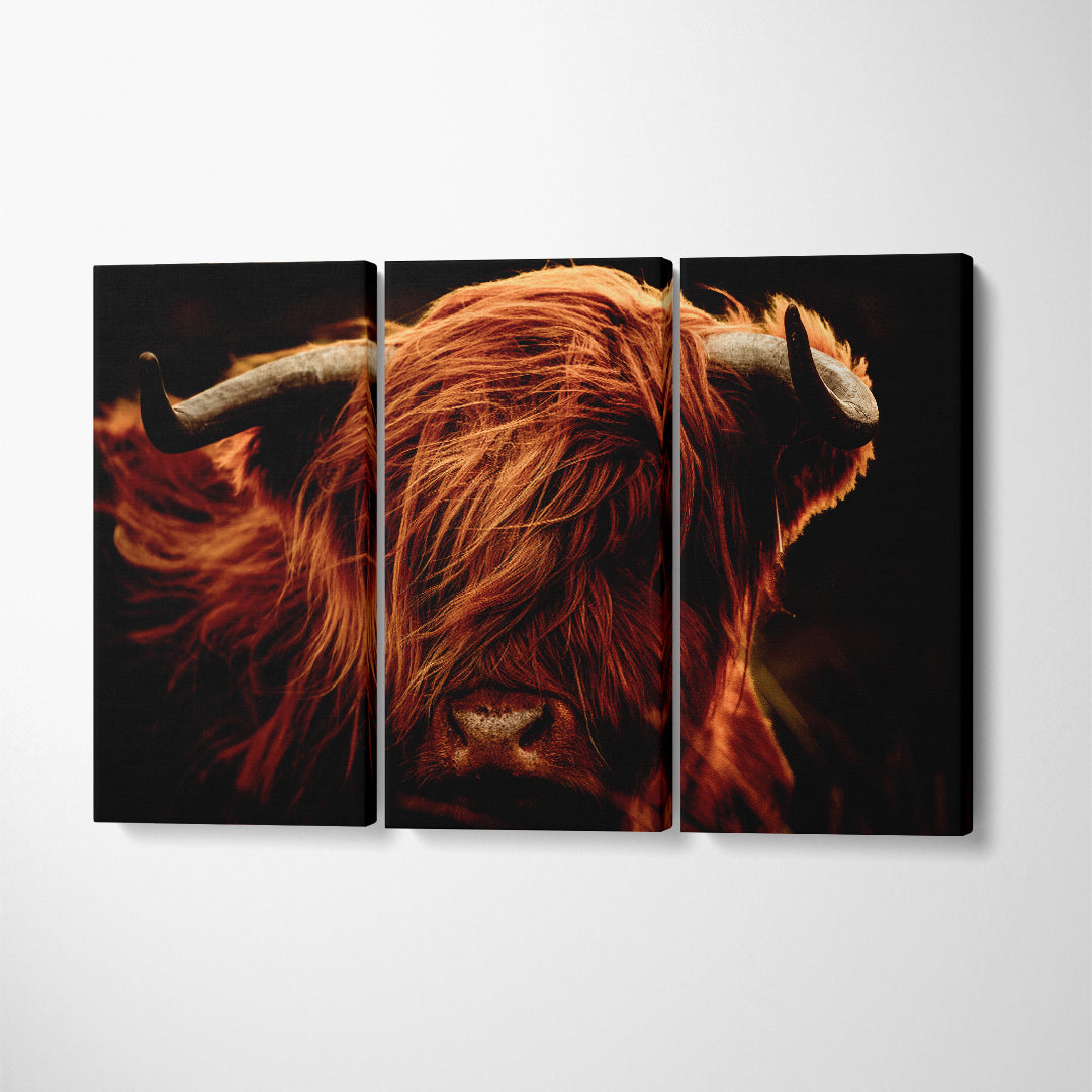 Amazing Portrait of Scottish Highland Cow Canvas Print ArtLexy 3 Panels 36"x24" inches 
