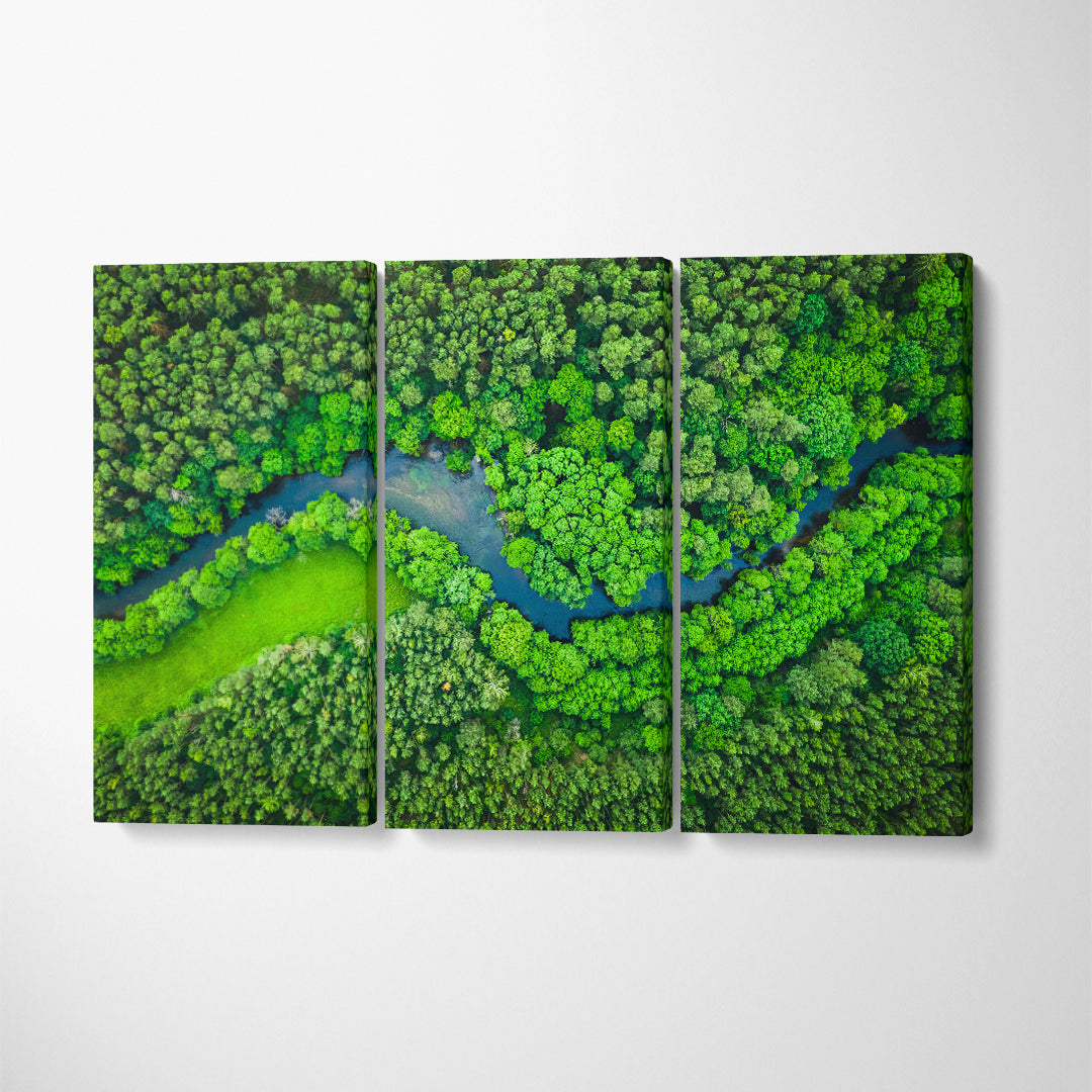 Tuchola Forest with River Canvas Print ArtLexy 3 Panels 36"x24" inches 