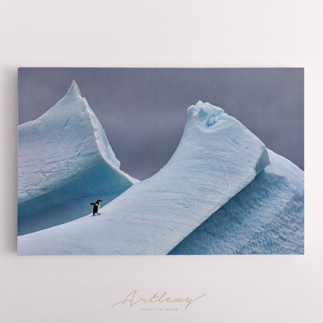 Lonely Adélie Penguin on Iceberg in Antarctica Canvas Print ArtLexy   