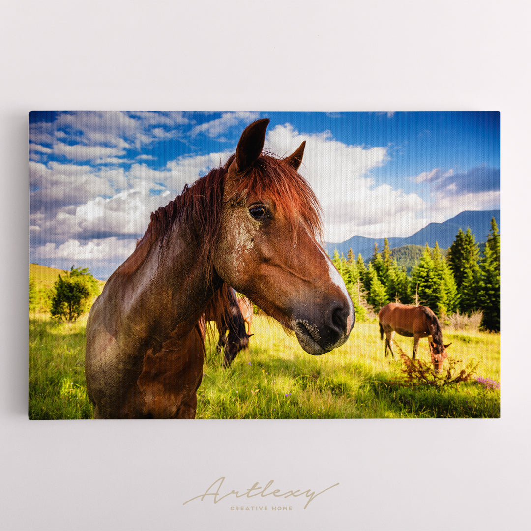 Horses Graze in Carpathian Mountains Ukraine Canvas Print ArtLexy   