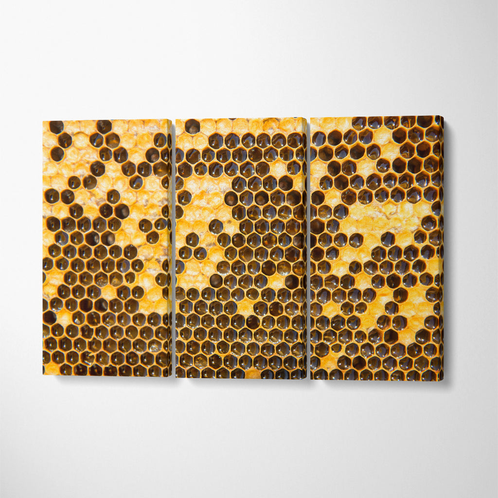 Honeycomb with Honey Canvas Print ArtLexy 3 Panels 36"x24" inches 