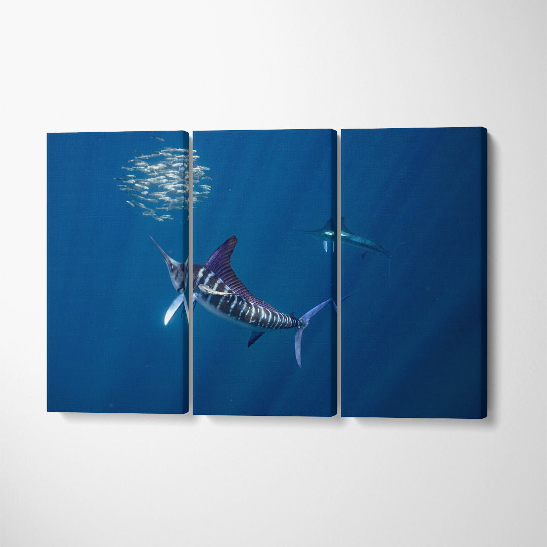 Striped-Marlin Mexico Canvas Print ArtLexy 3 Panels 36"x24" inches 
