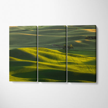 Rolling Hills of Palouse Washington State Canvas Print ArtLexy 3 Panels 36"x24" inches 