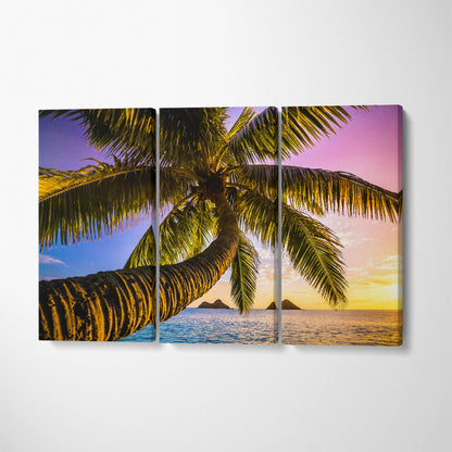 Beautiful Palm Tree on Oahu Beach Canvas Print ArtLexy 3 Panels 36"x24" inches 