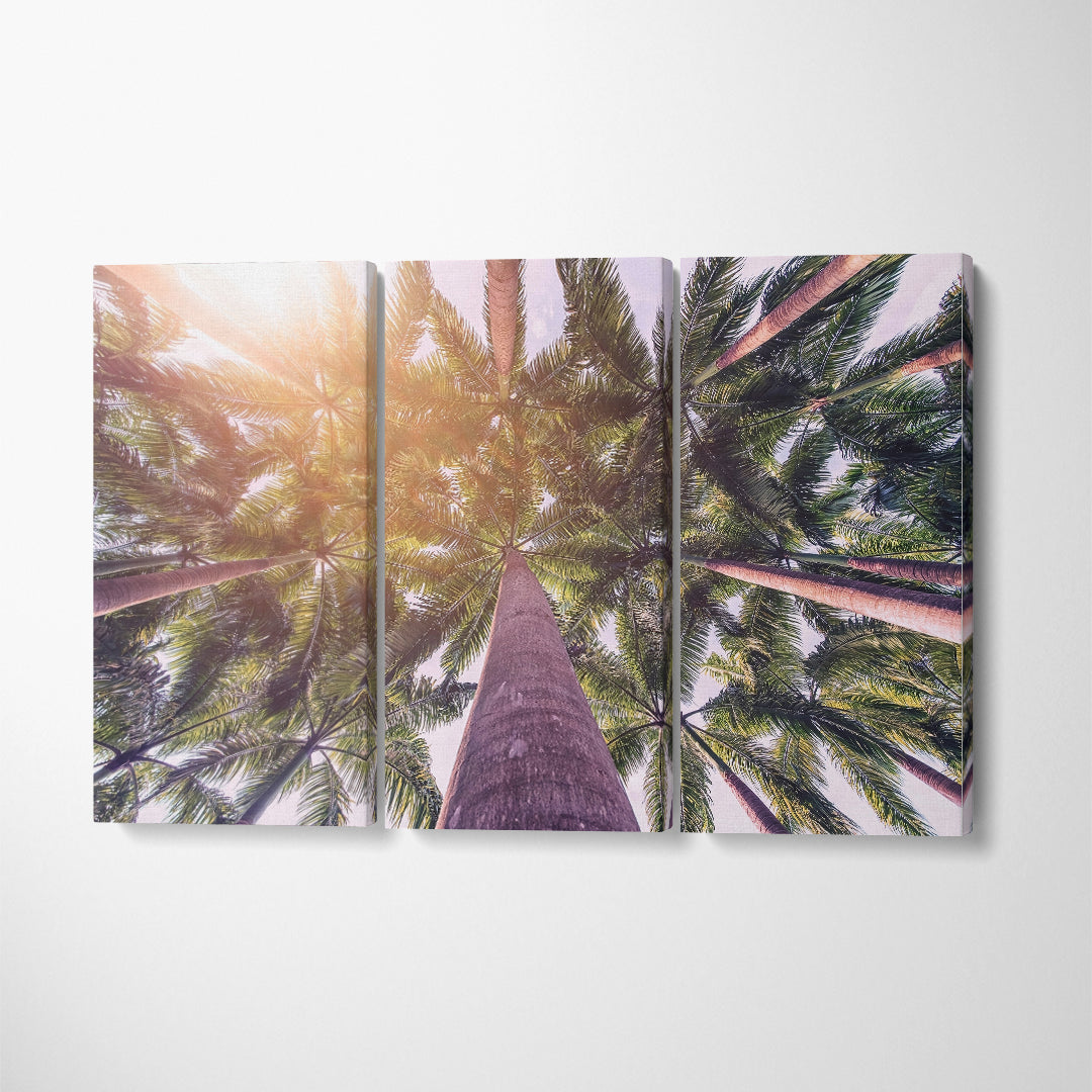 Coconut Palm Trees Canvas Print ArtLexy 3 Panels 36"x24" inches 