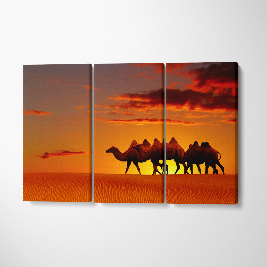 Camels in Desert at Sunset Canvas Print ArtLexy 3 Panels 36"x24" inches 