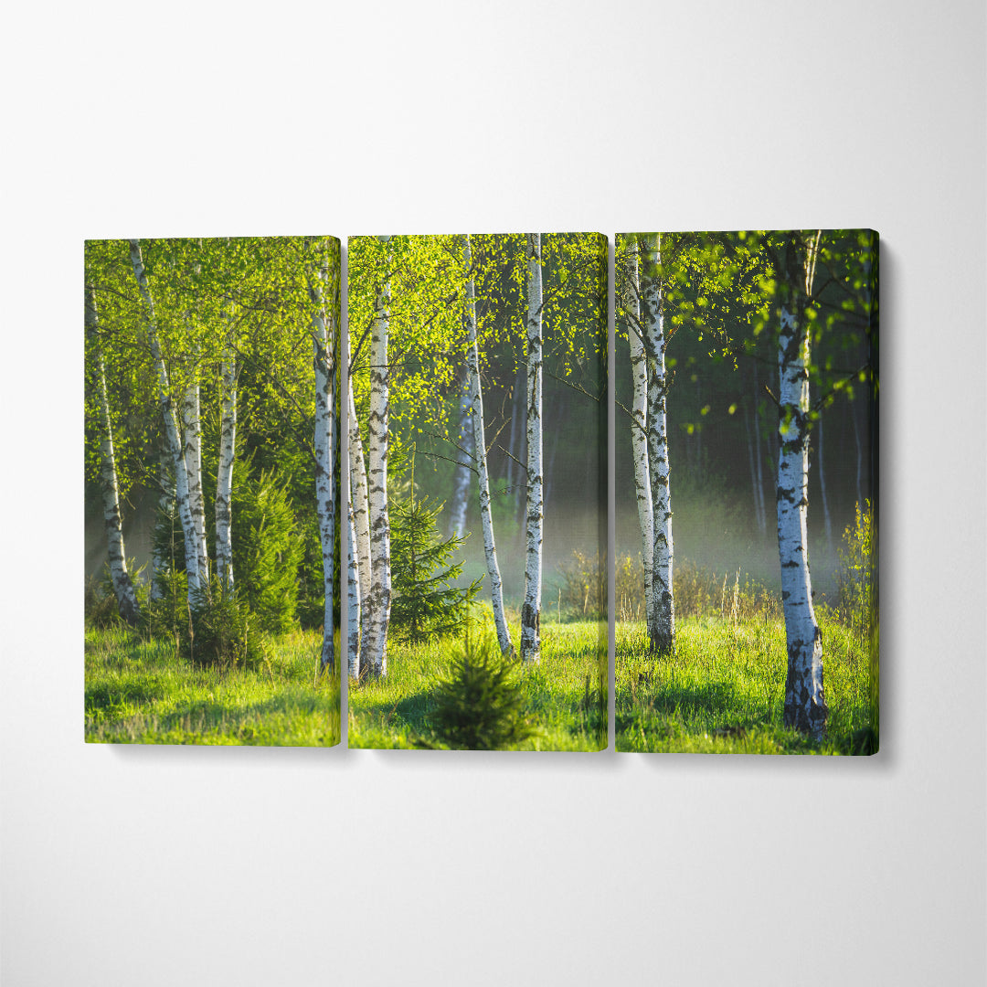 Birch Grove Canvas Print ArtLexy 3 Panels 36"x24" inches 