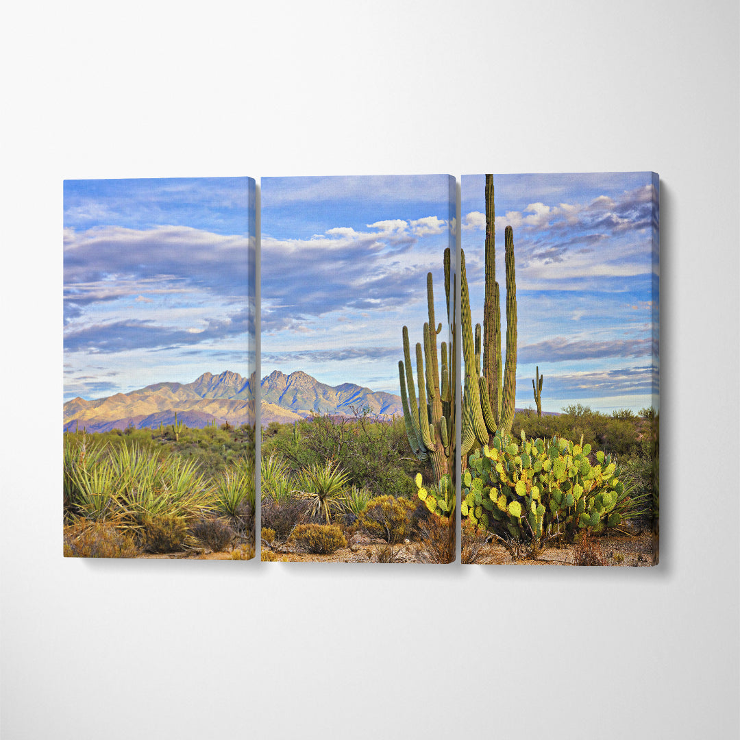 Saguaro Cactus in Phoenix Arizona Canvas Print ArtLexy 3 Panels 36"x24" inches 