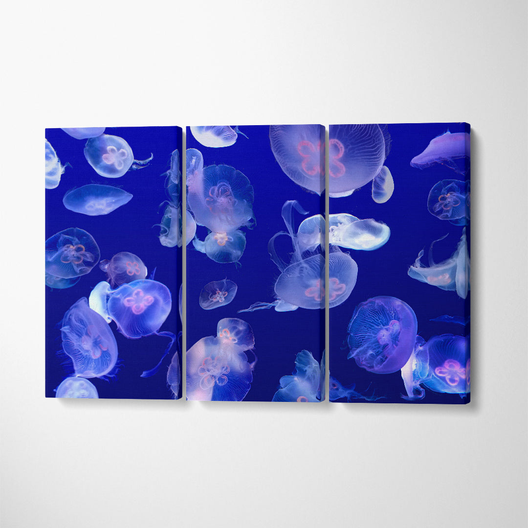 Glow Jellyfish in Blue Sea Canvas Print ArtLexy 3 Panels 36"x24" inches 