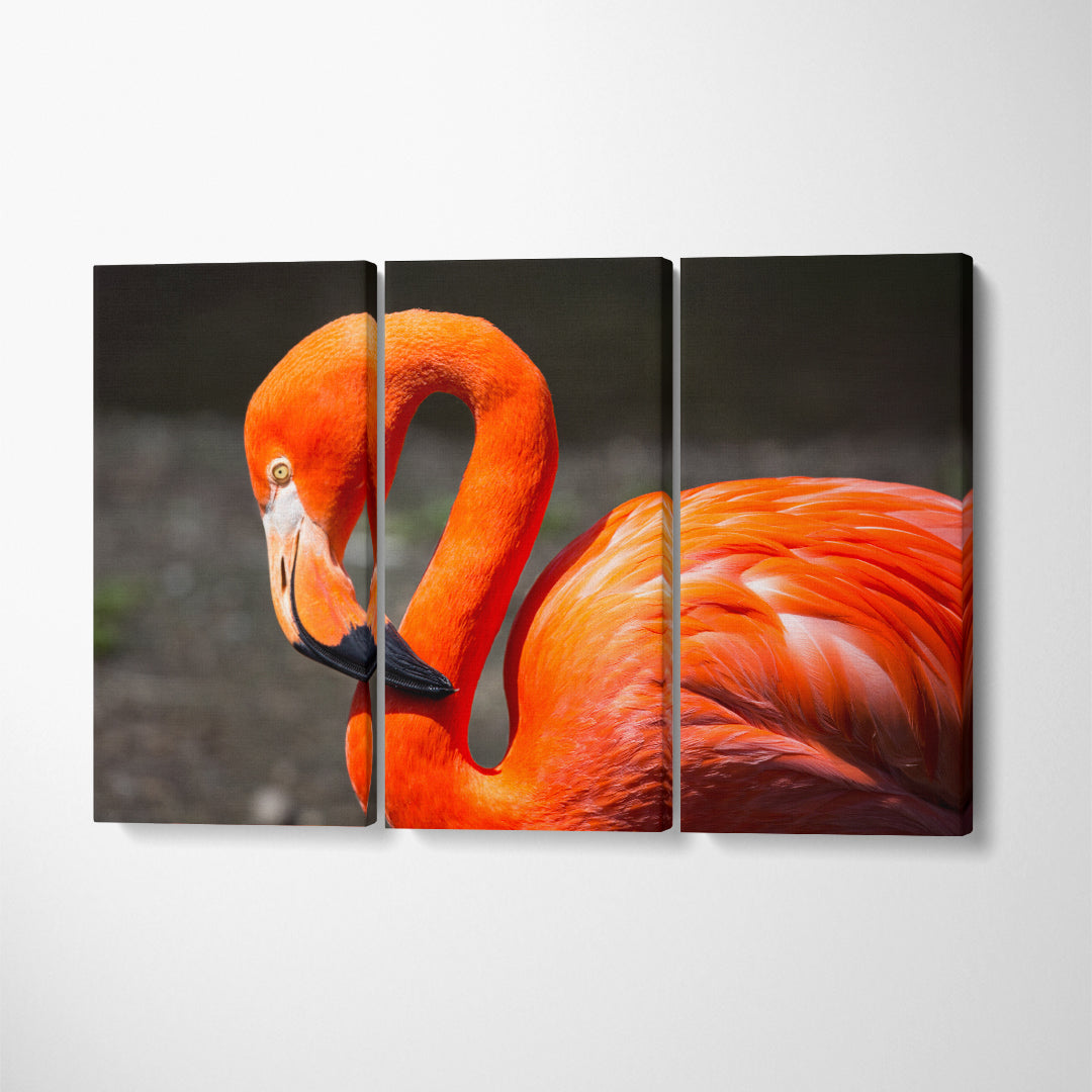 American Flamingo Canvas Print ArtLexy   