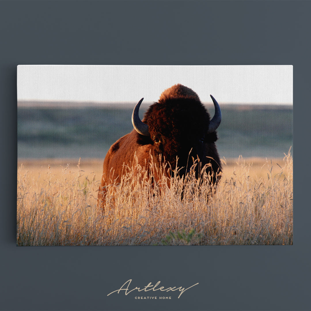 American Bison Canvas Print ArtLexy   