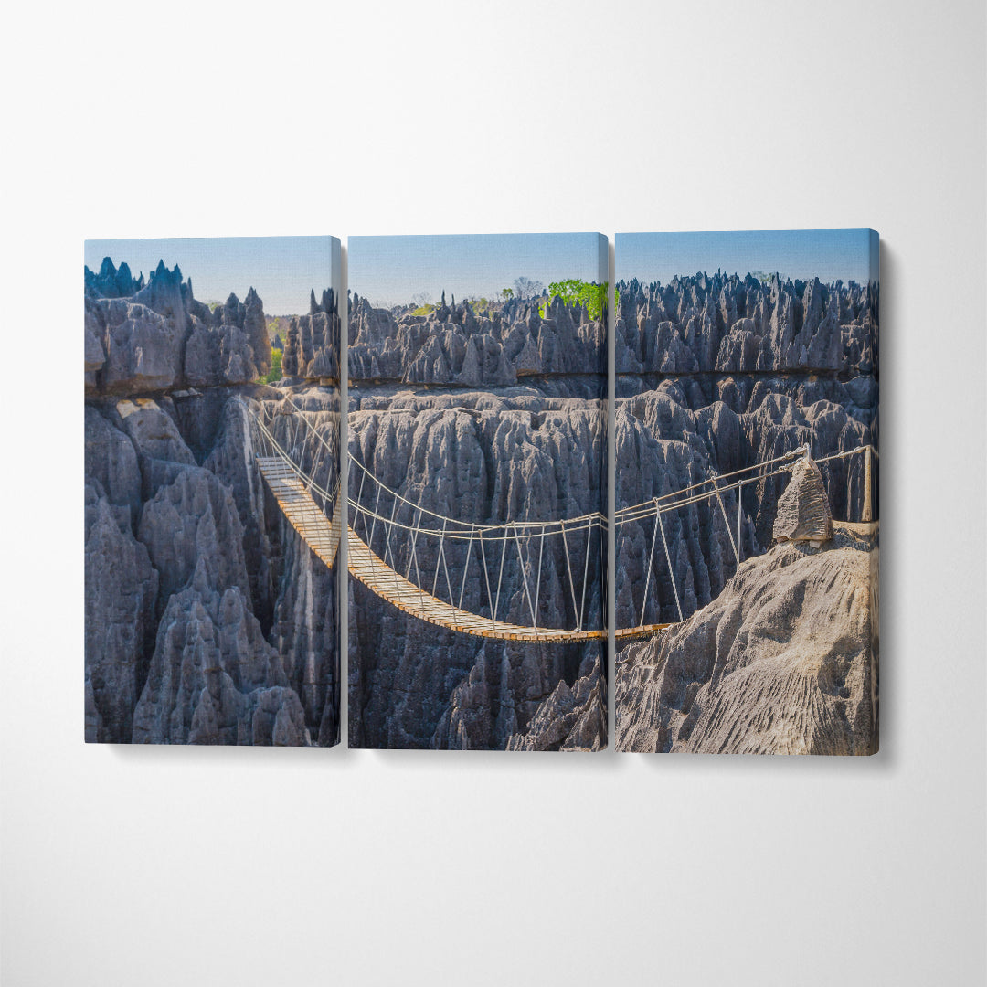 Hanging Bridge at Tsingy de Bemaraha National Park Madagascar Canvas Print ArtLexy 3 Panels 36"x24" inches 