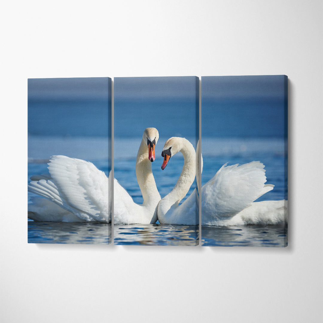 Beautiful Swan Couple Canvas Print ArtLexy   