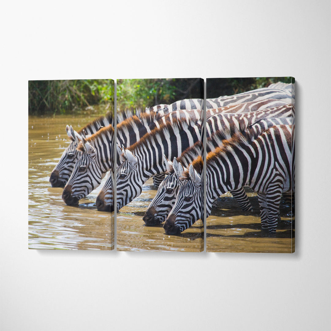 Zebras at Watering Hole Kenya Tanzania Canvas Print ArtLexy   