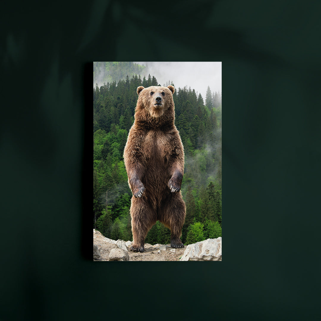 Brown Bear in Forest Canvas Print ArtLexy   