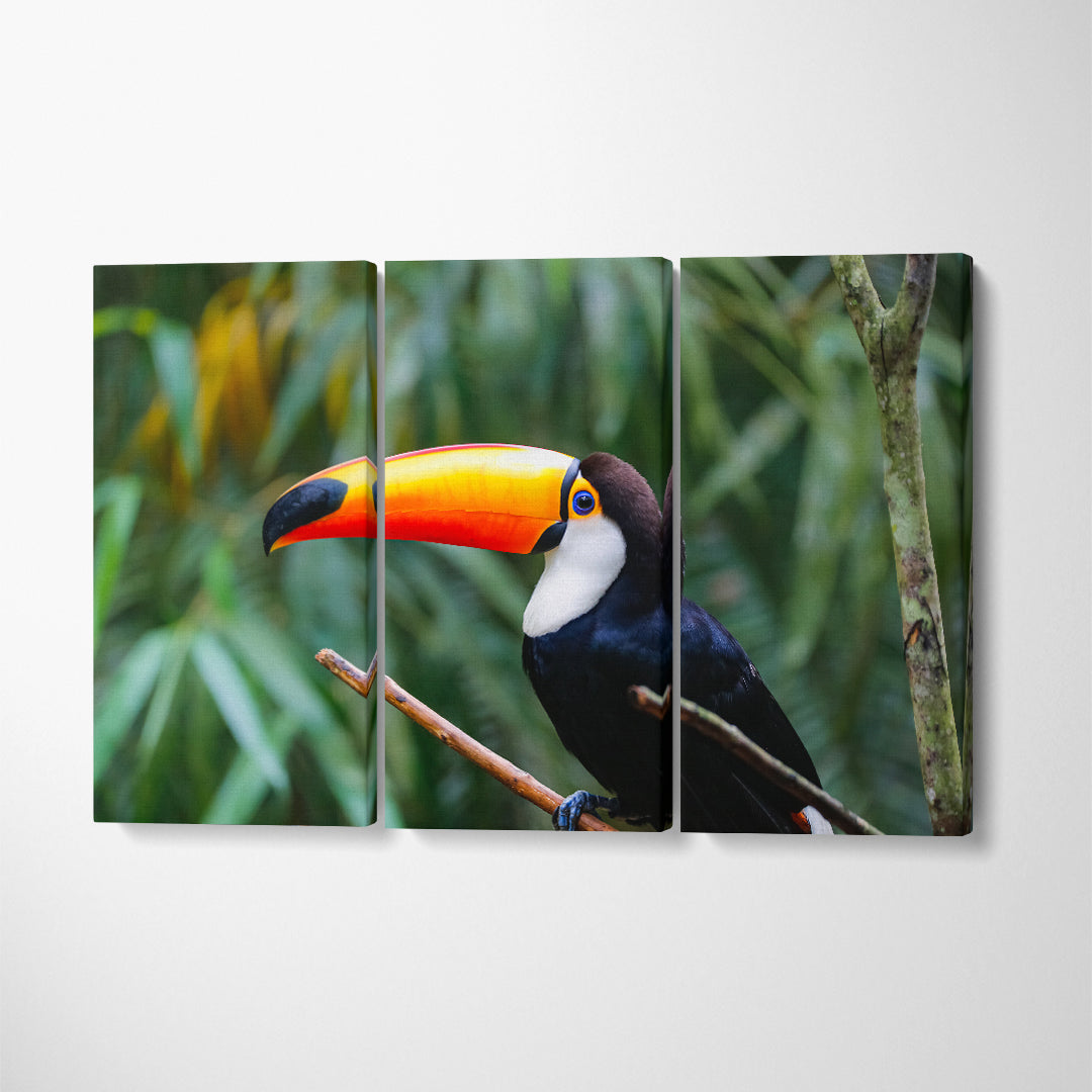 Toco Toucan in Natural Habitat Brazil Canvas Print ArtLexy 3 Panels 36"x24" inches 