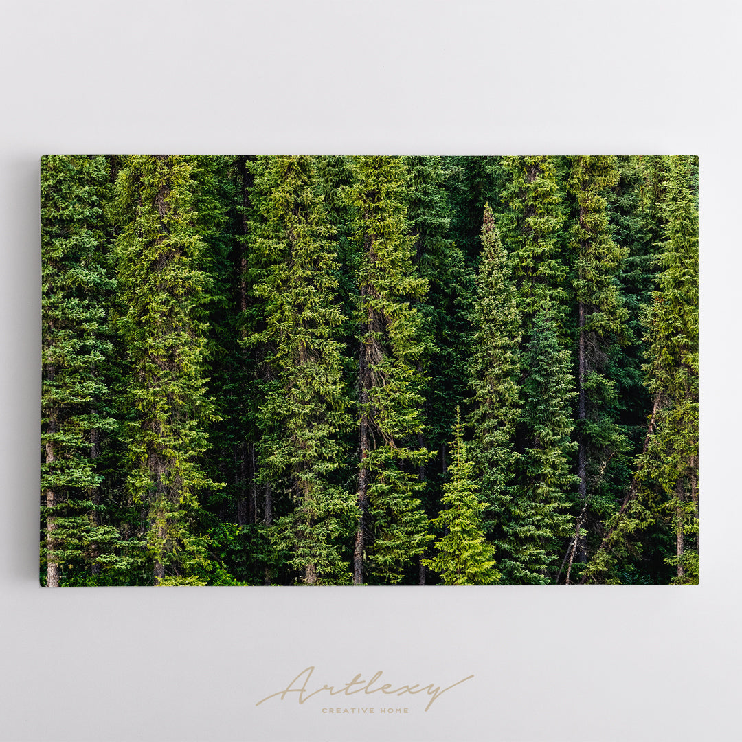Tongass National Forest Alaska Canvas Print ArtLexy   