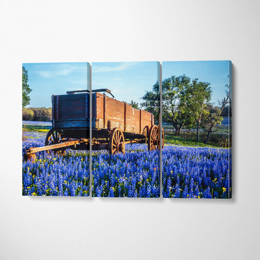 Bluebonnets Field Texas Hill Country Canvas Print ArtLexy 3 Panels 36"x24" inches 