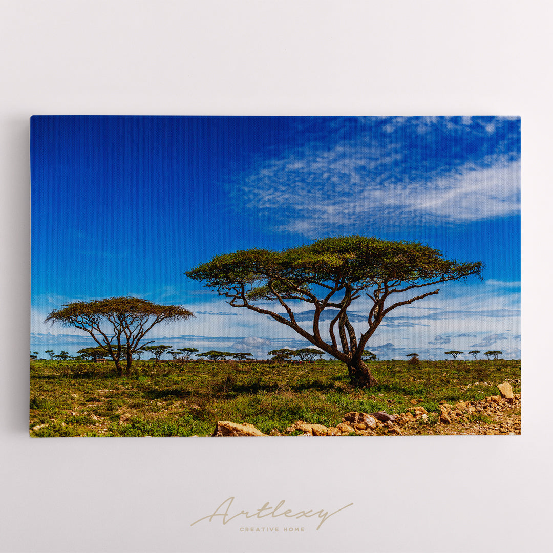 Ngorongoro Conservation Area. African Landscape Canvas Print ArtLexy   