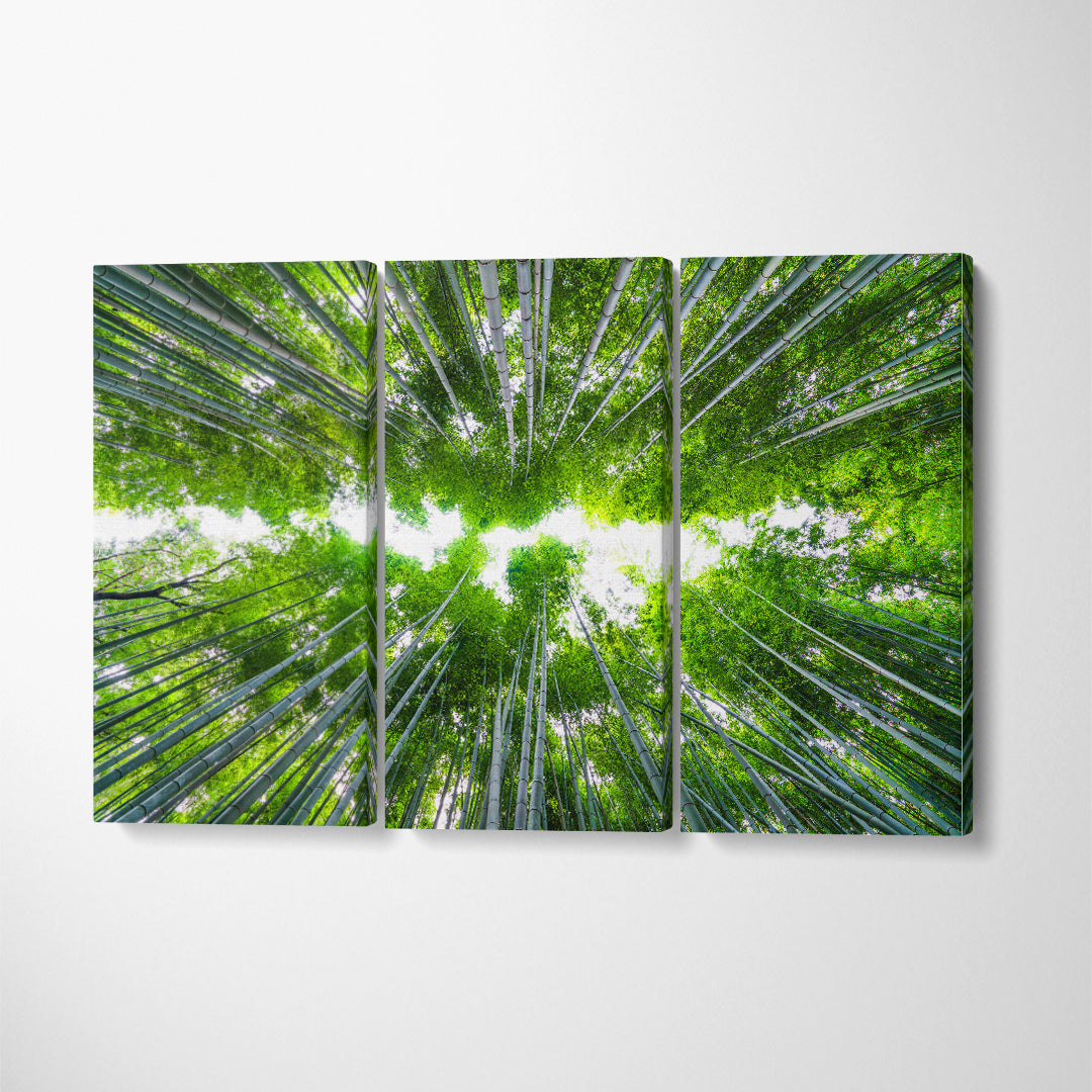 Arashiyama Bamboo Forest Kyoto Japan Canvas Print ArtLexy 3 Panels 36"x24" inches 