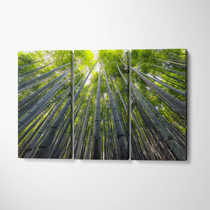 Stunning Bamboo Grove Arashiyama Kyoto Canvas Print ArtLexy 3 Panels 36"x24" inches 