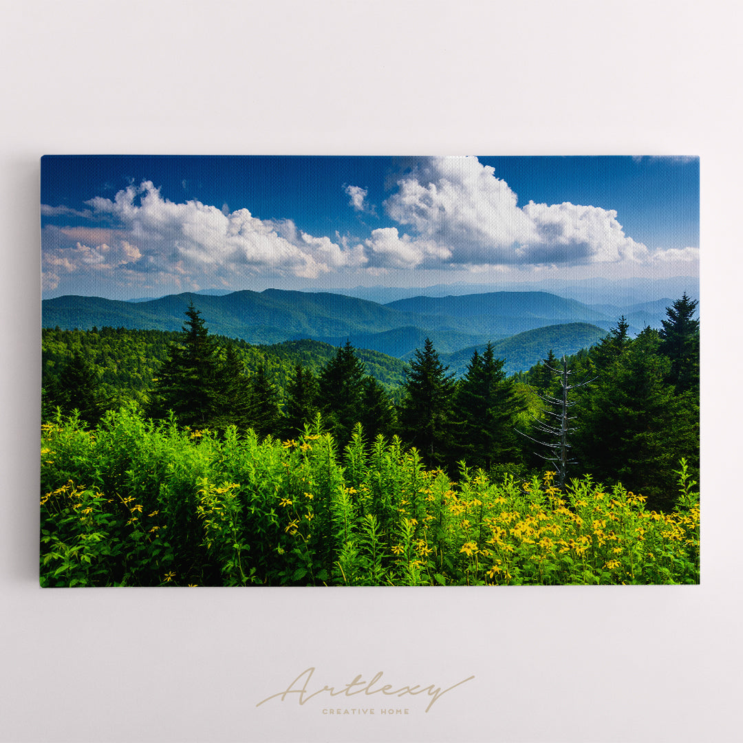 Blue Ridge Mountains North Carolina Canvas Print ArtLexy   