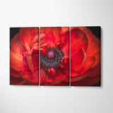 Red Buttercup Flower Canvas Print ArtLexy 3 Panels 36"x24" inches 