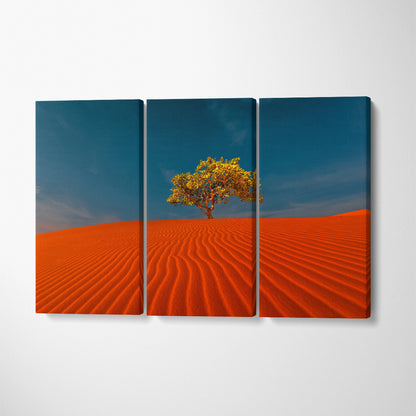 Lonely Tree in Sandy Desert Canvas Print ArtLexy 3 Panels 36"x24" inches 