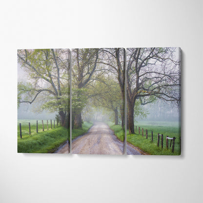 Misty Country Road Canvas Print ArtLexy 3 Panels 36"x24" inches 