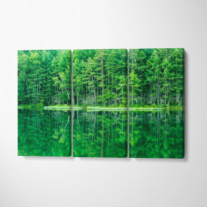 Trees Reflection in Mishaka Pond Japanese Canvas Print ArtLexy 3 Panels 36"x24" inches 