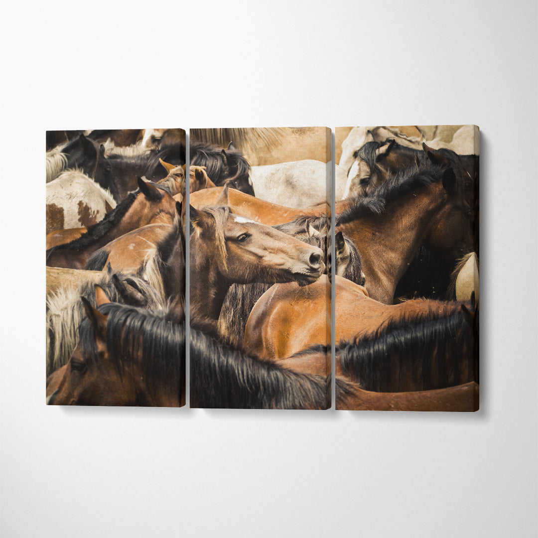 Herd of Amazing Horses Canvas Print ArtLexy 3 Panels 36"x24" inches 