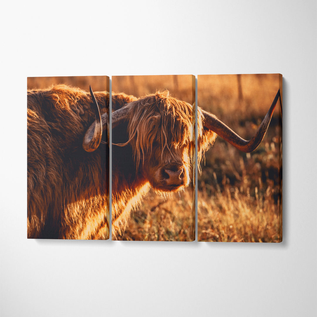 Highland Cow Canvas Print ArtLexy 3 Panels 36"x24" inches 