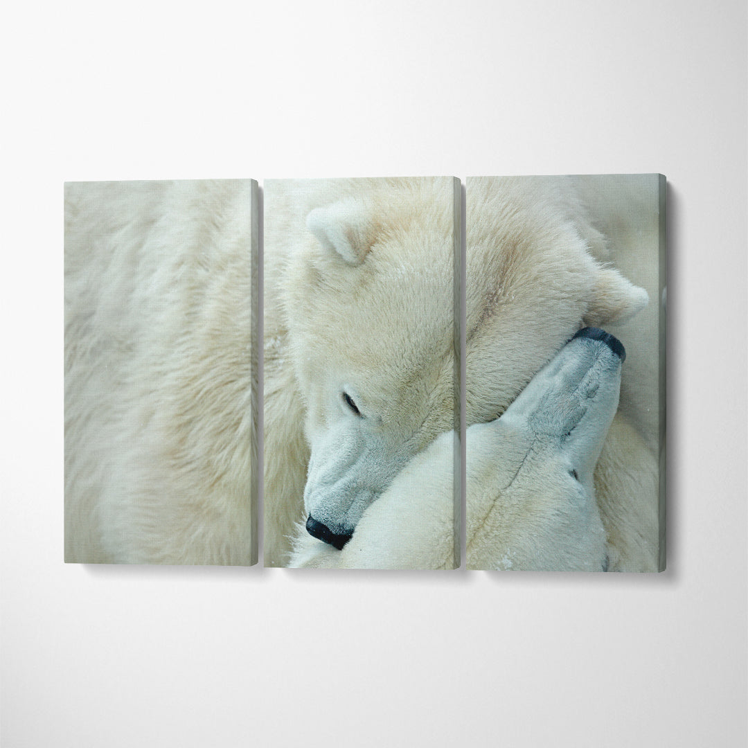 Two Polar Bears Canvas Print ArtLexy 3 Panels 36"x24" inches 
