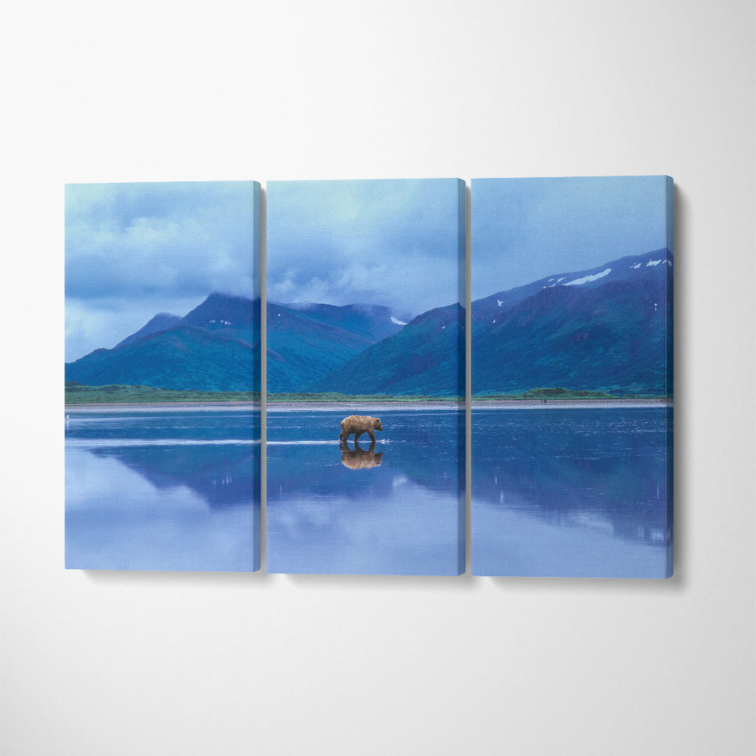 Lonely Brown Bear at Izembek National Wildlife Refuge Alaska Canvas Print ArtLexy 3 Panels 36"x24" inches 