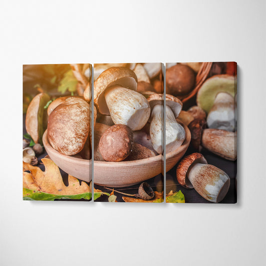 Cep Mushrooms Canvas Print ArtLexy 3 Panels 36"x24" inches 