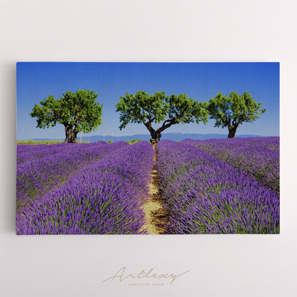 Lavender Fields of Provence France Canvas Print ArtLexy   
