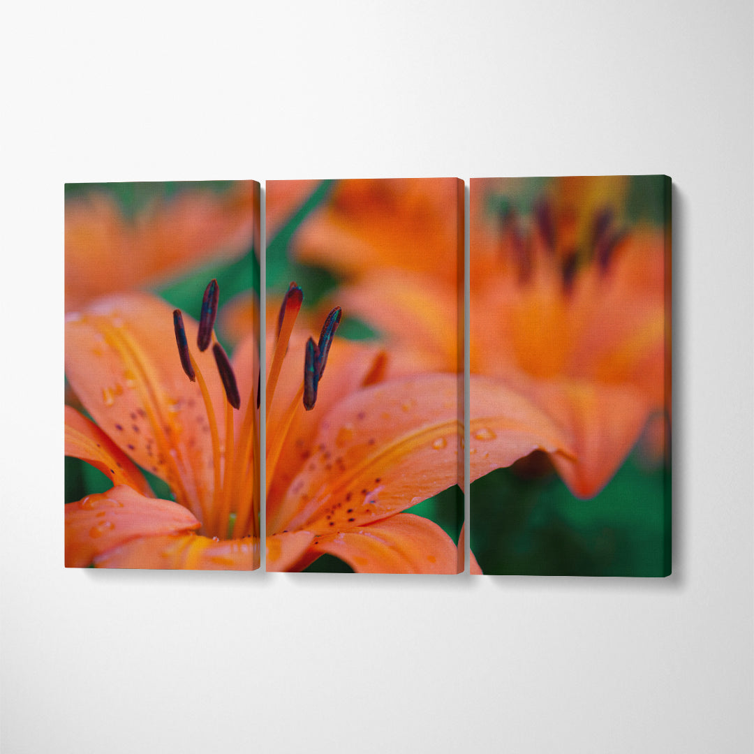 Lily Flowers Canvas Print ArtLexy 3 Panels 36"x24" inches 