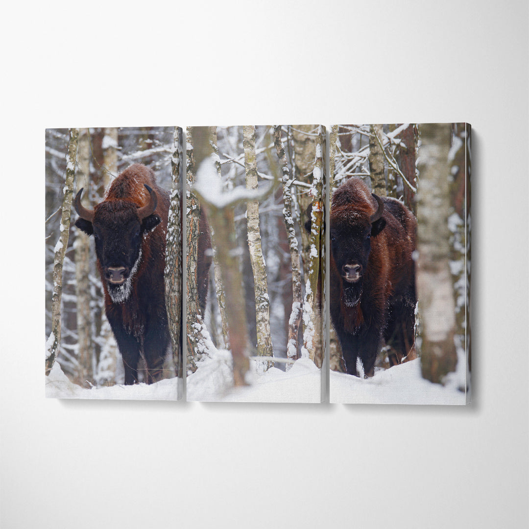 European Bison in Winter Forest Canvas Print ArtLexy 3 Panels 36"x24" inches 