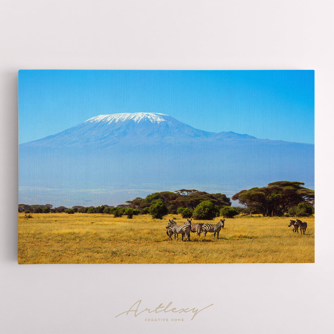Herd of  Zebras at Foot of Mount Kilimanjaro Kenya Canvas Print ArtLexy   